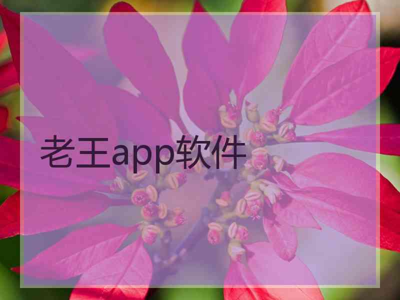 老王app软件