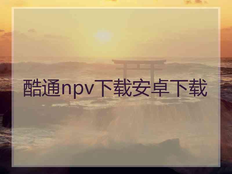 酷通npv下载安卓下载