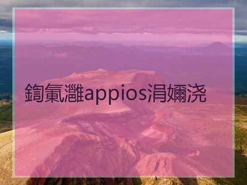 鍧氭灉appios涓嬭浇