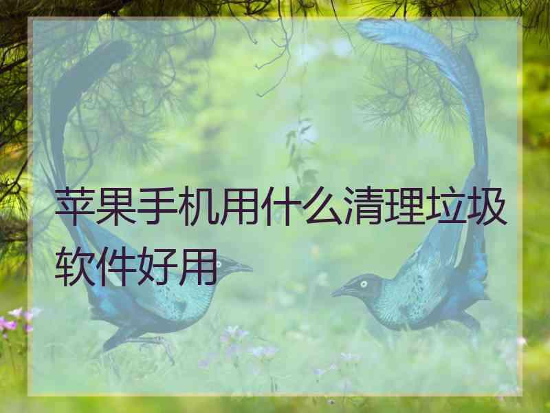 苹果手机用什么清理垃圾软件好用