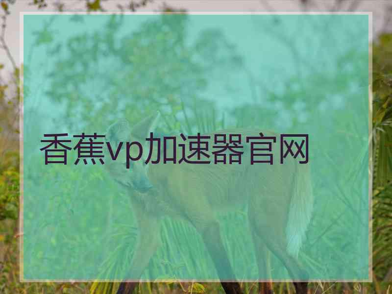 香蕉vp加速器官网