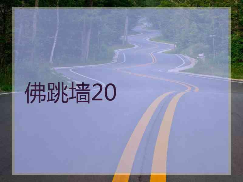 佛跳墙20