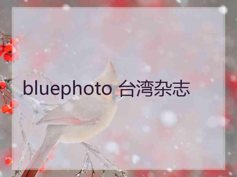 bluephoto 台湾杂志