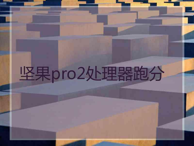 坚果pro2处理器跑分