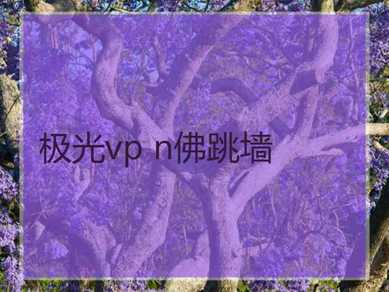 极光vp n佛跳墙