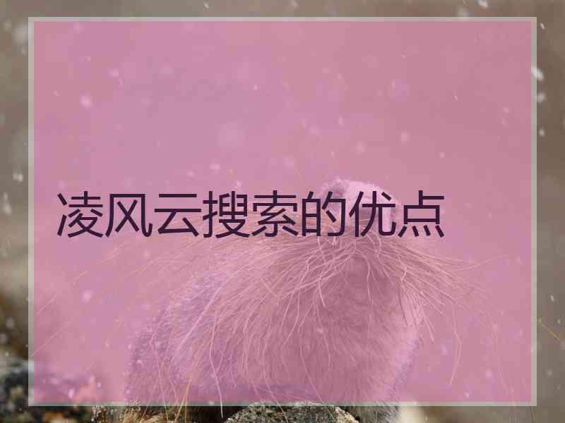 凌风云搜索的优点