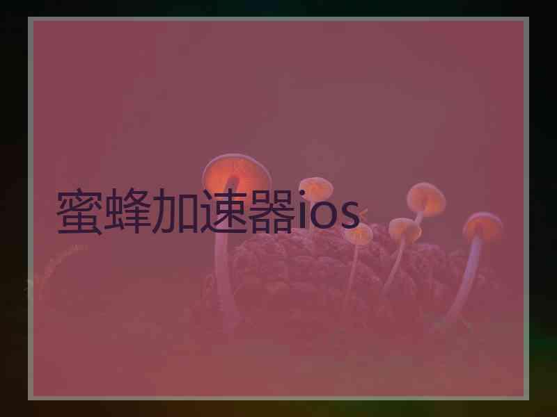 蜜蜂加速器ios