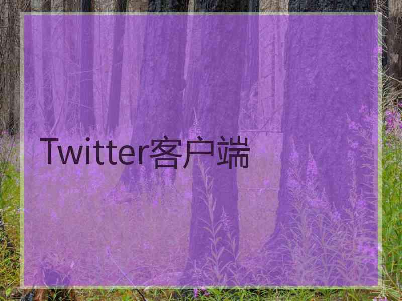 Twitter客户端