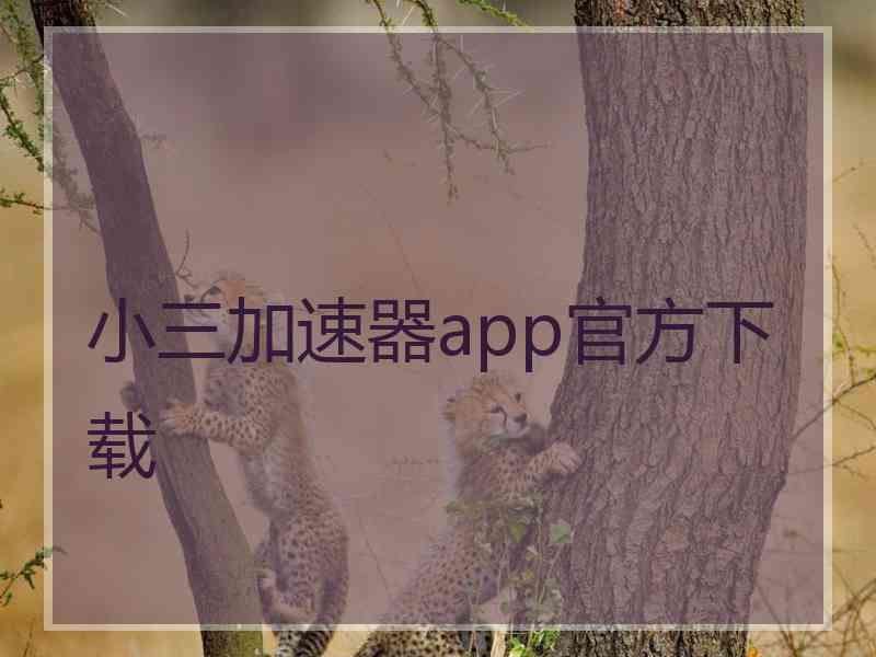 小三加速器app官方下载