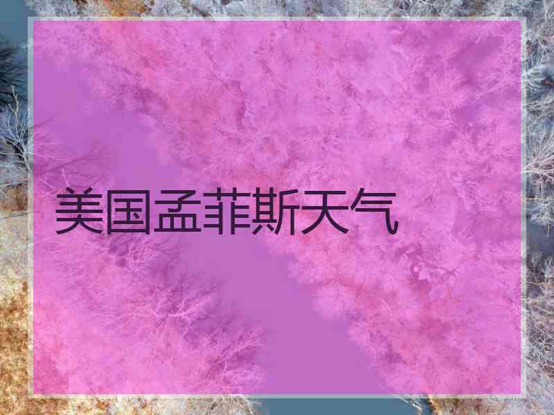 美国孟菲斯天气