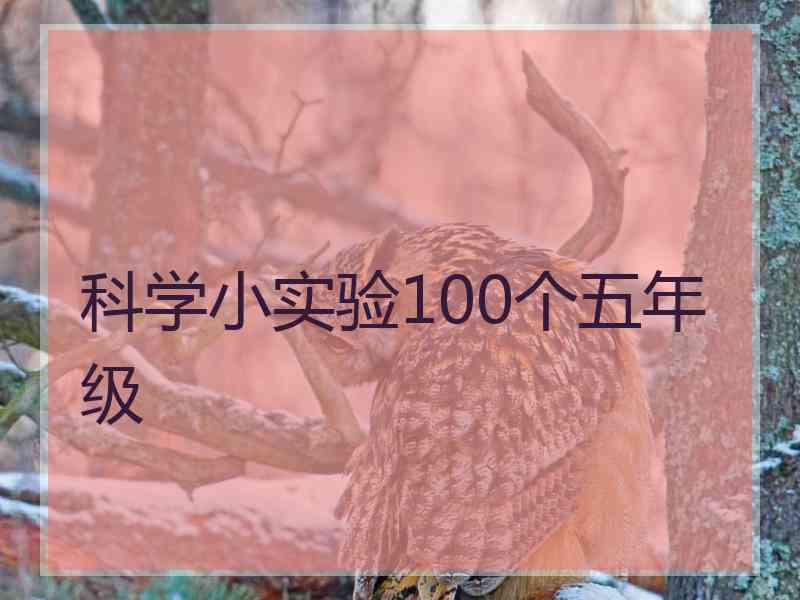 科学小实验100个五年级