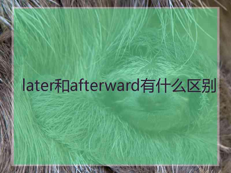 later和afterward有什么区别