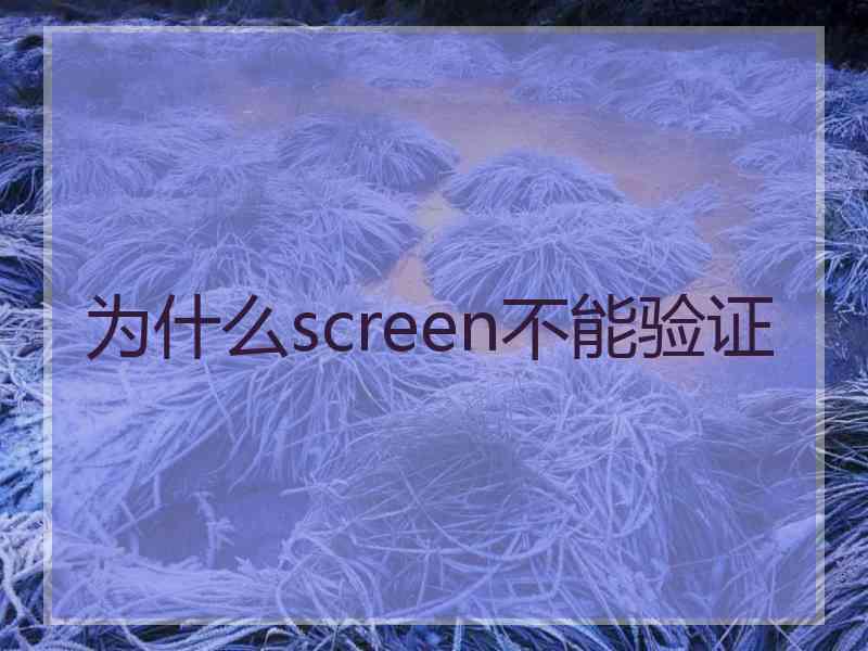 为什么screen不能验证