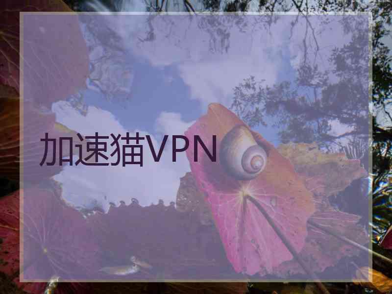 加速猫VPN