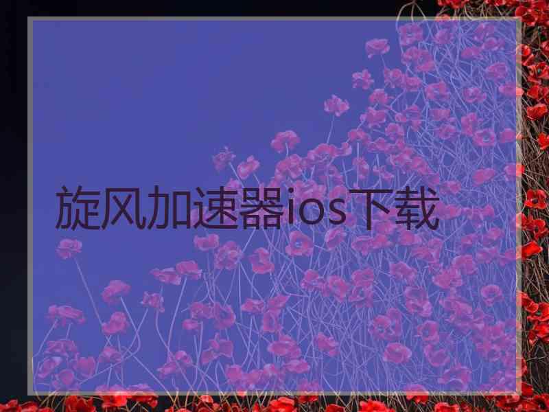 旋风加速器ios下载