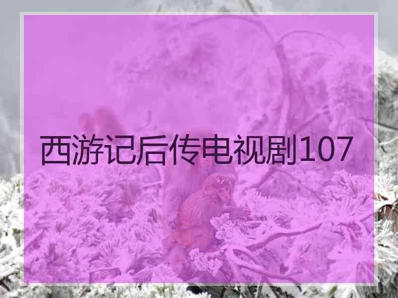 西游记后传电视剧107