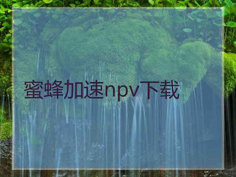 蜜蜂加速npv下载