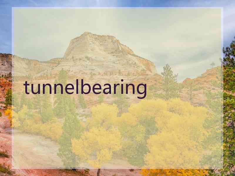 tunnelbearing