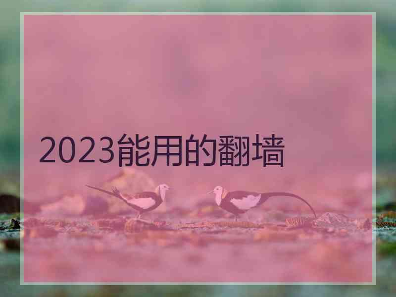 2023能用的翻墙