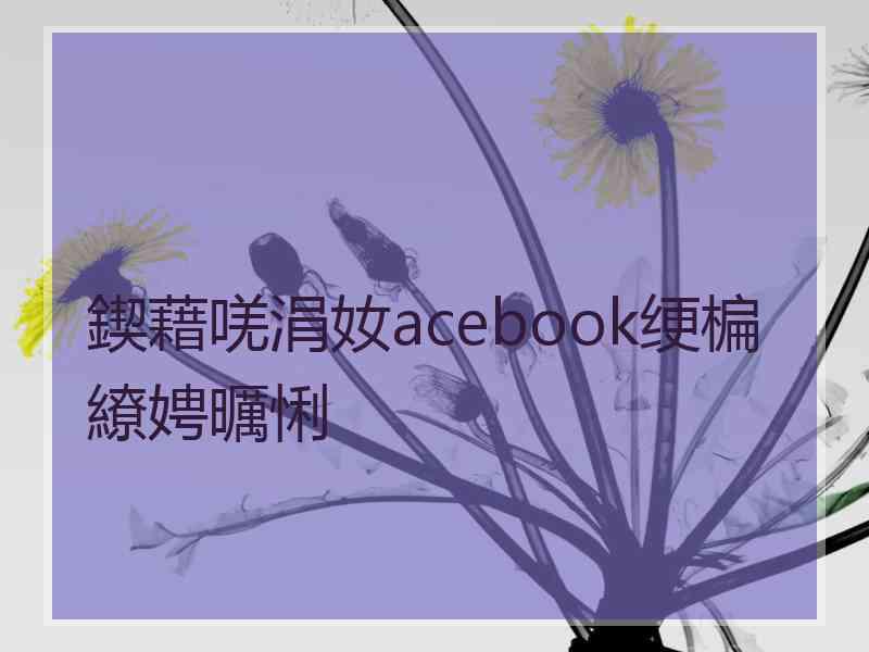 鍥藉唴涓奻acebook绠楄繚娉曞悧