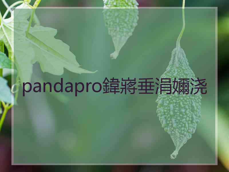 pandapro鍏嶈垂涓嬭浇