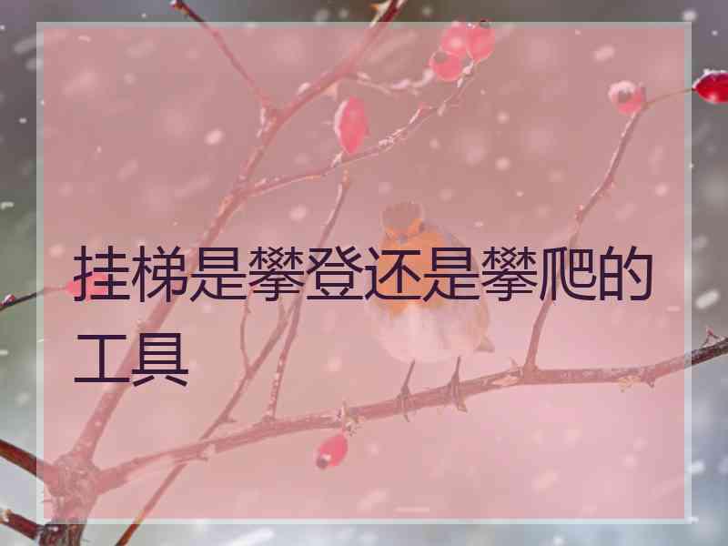 挂梯是攀登还是攀爬的工具