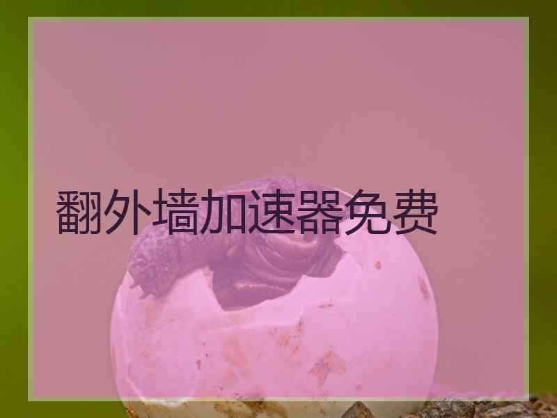 翻外墙加速器免费