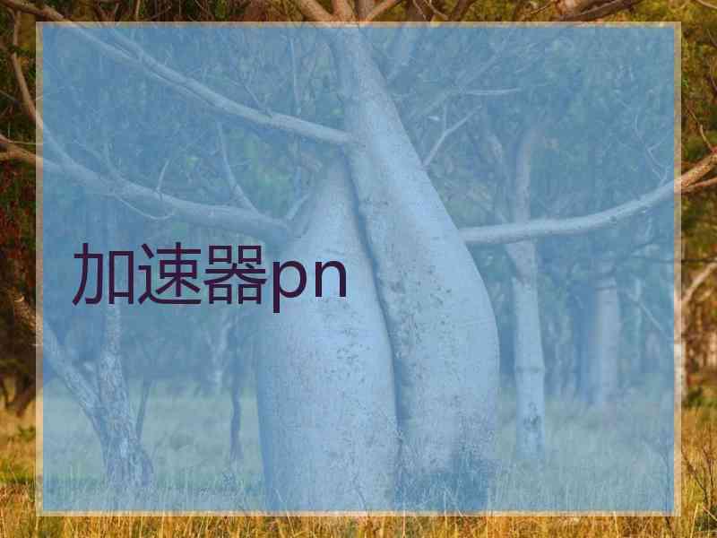 加速器pn