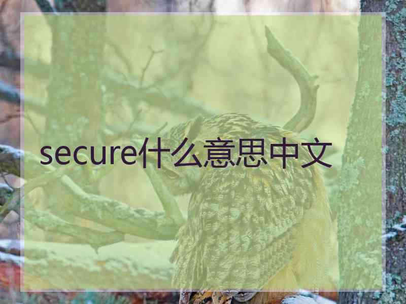 secure什么意思中文