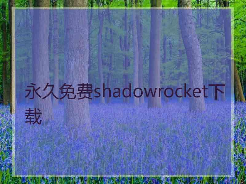 永久免费shadowrocket下载