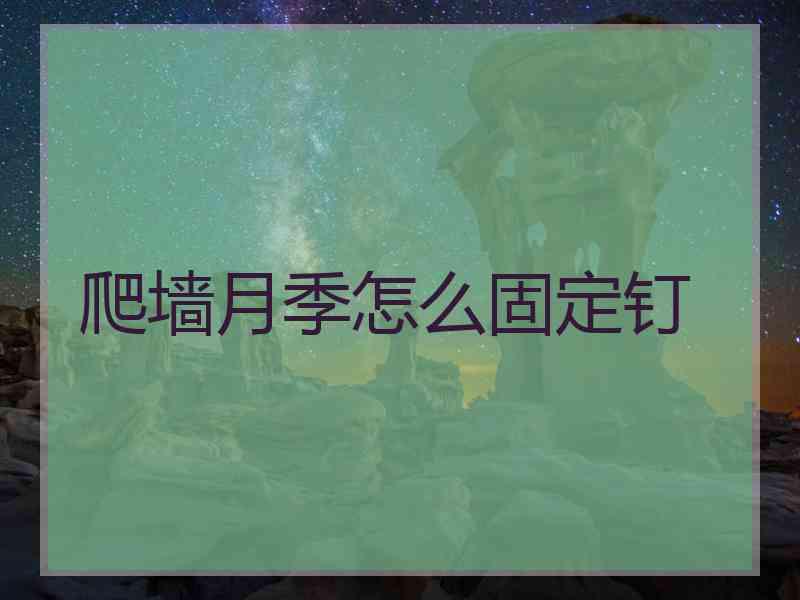 爬墙月季怎么固定钉