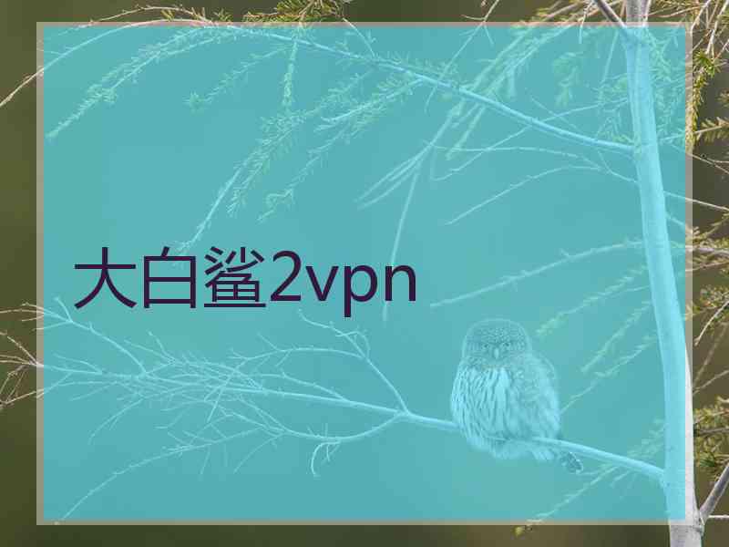 大白鲨2vpn