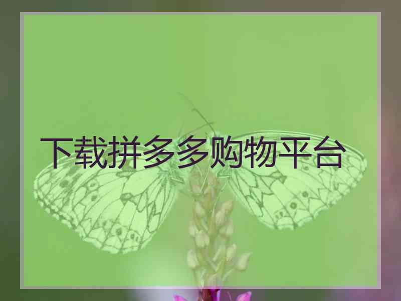 下载拼多多购物平台