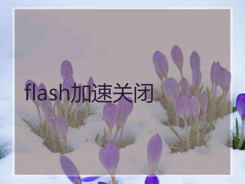 flash加速关闭