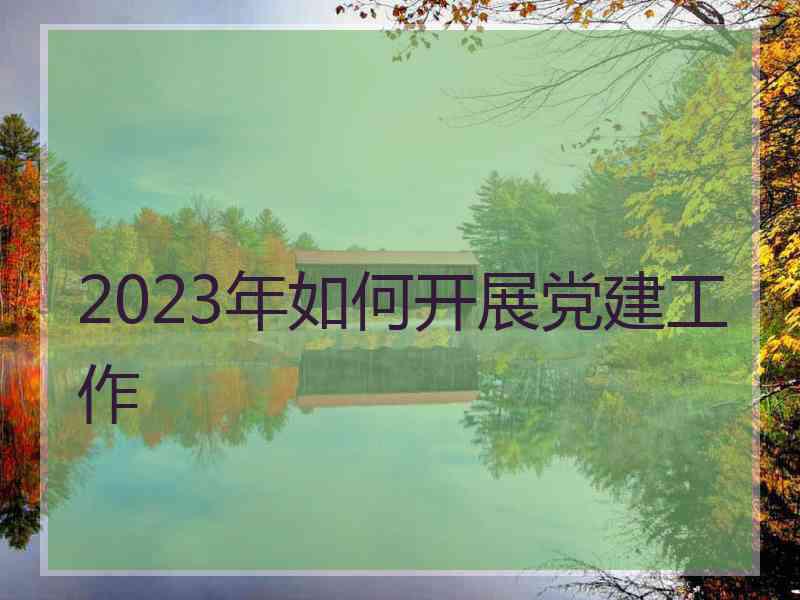 2023年如何开展党建工作