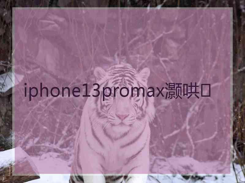 iphone13promax灏哄