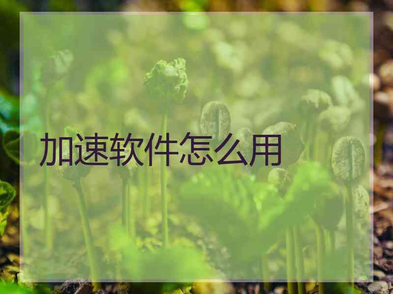 加速软件怎么用