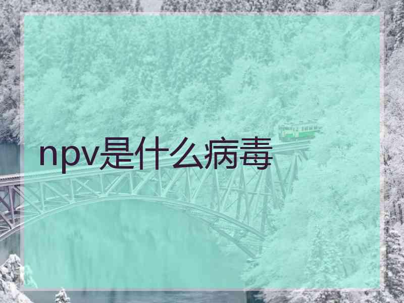 npv是什么病毒