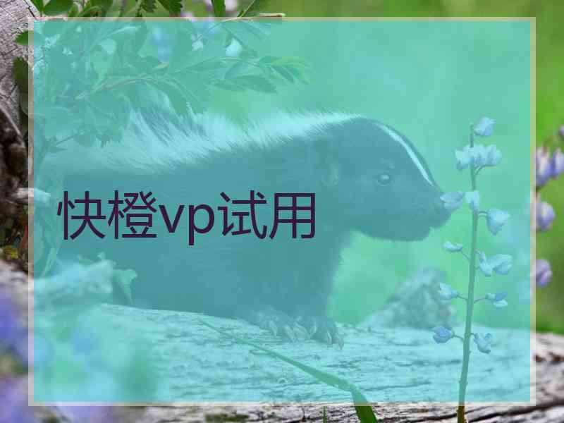 快橙vp试用