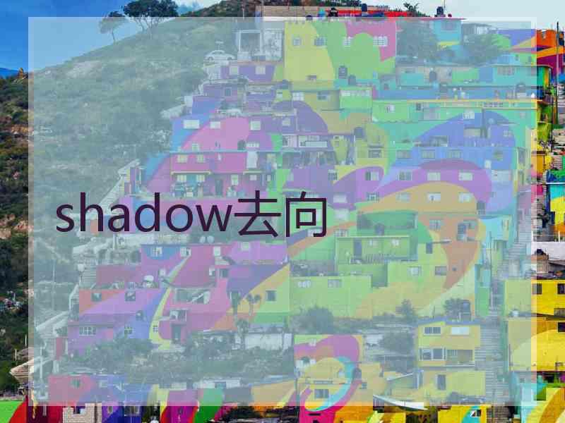 shadow去向