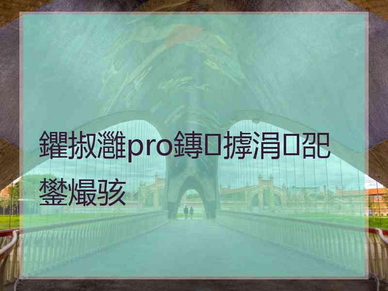 鑺掓灉pro鏄摢涓巶鐢熶骇