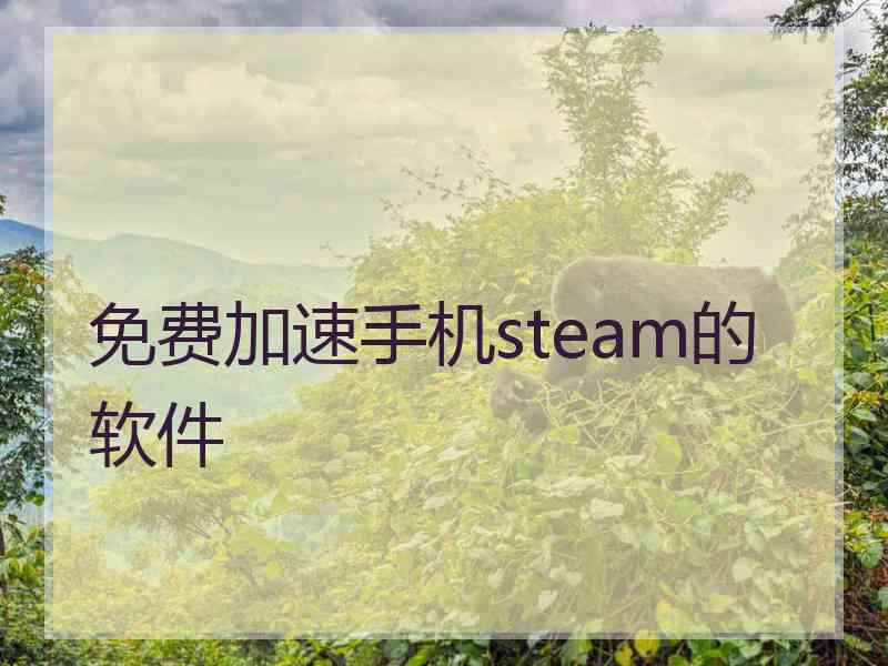 免费加速手机steam的软件