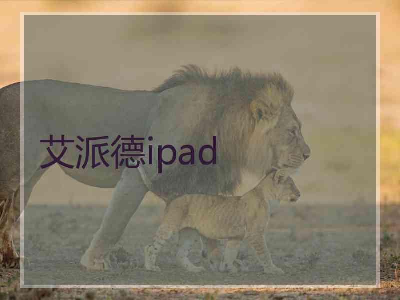 艾派德ipad