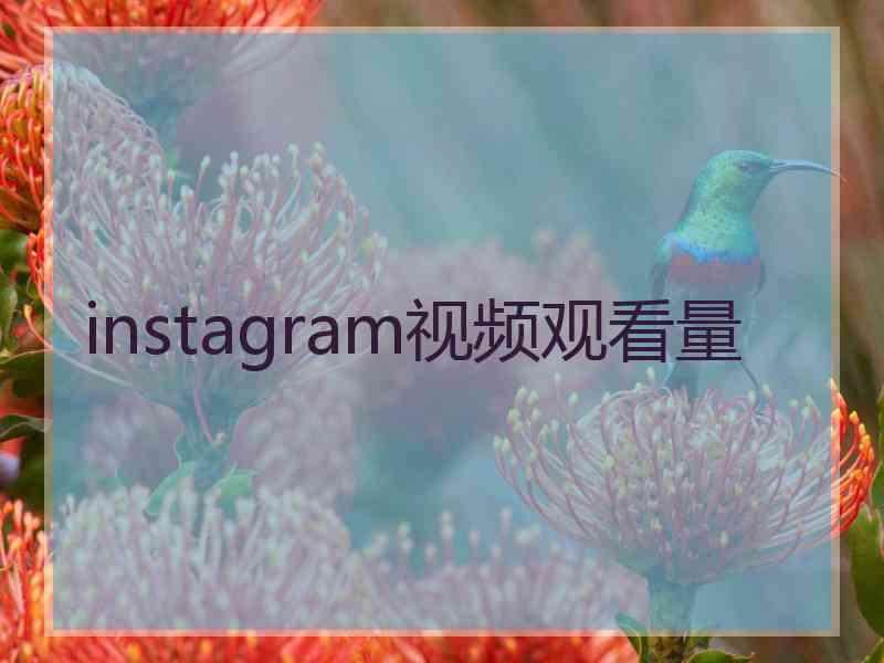 instagram视频观看量