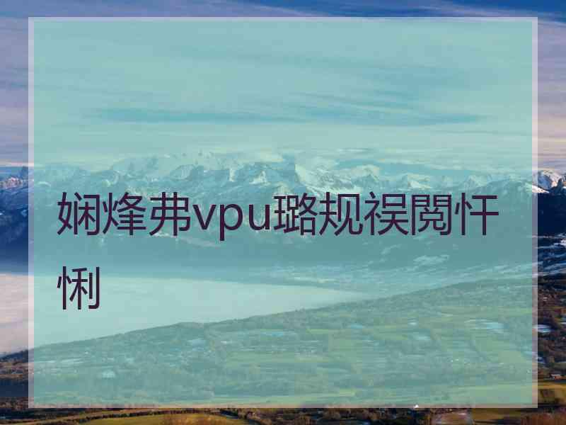 娴烽弗vpu璐规祦閲忓悧