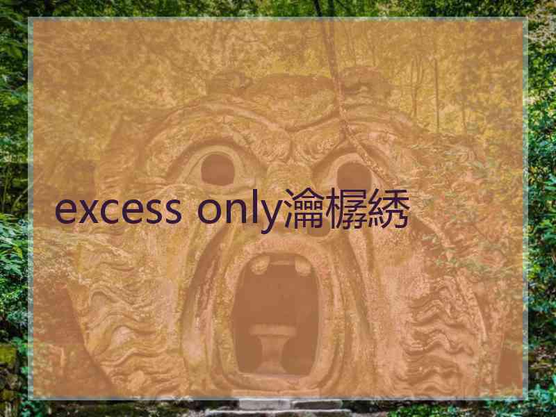 excess only瀹樼綉
