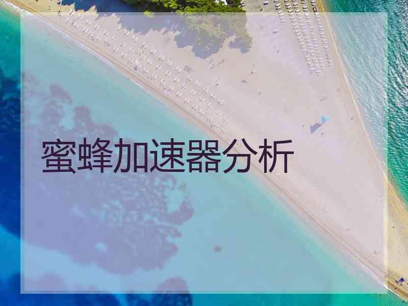 蜜蜂加速器分析