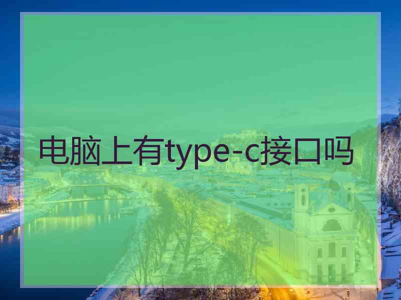 电脑上有type-c接口吗