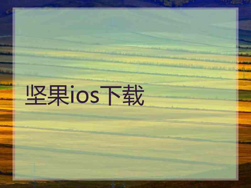 坚果ios下载