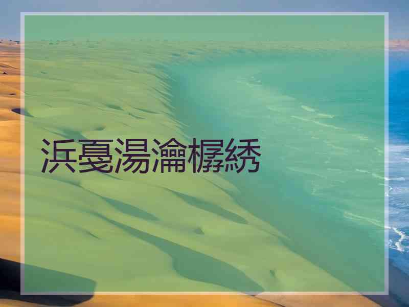 浜戞湯瀹樼綉